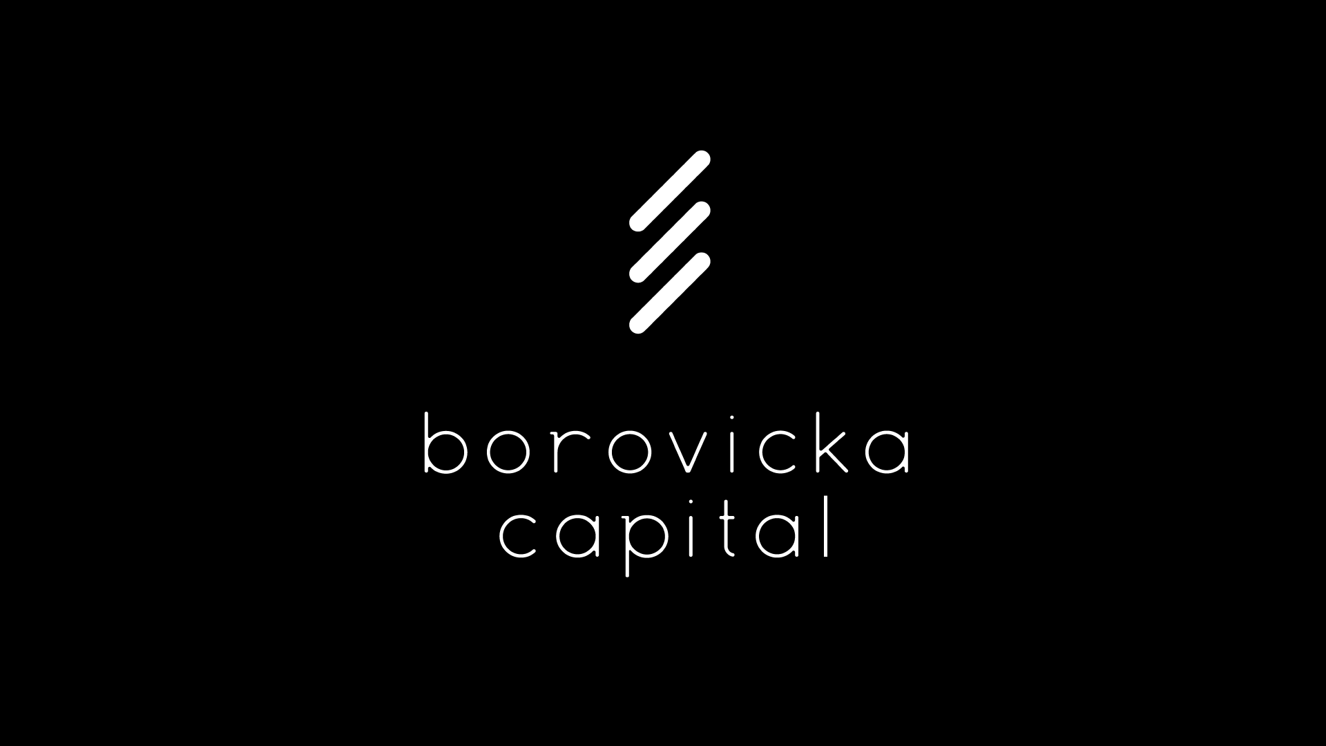 Borovička Capital